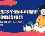 20多个新手可操作的副业赚钱项目:业余时间0基础日入几500+实操分享-阳知网创资源库