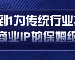 从0到1为传统行业打造抖音商业IP简单高效的保姆级攻略-阳知网创资源库