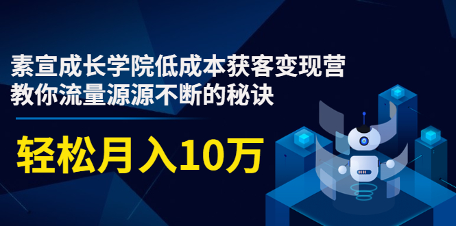 素宣成长学院低成本获客变现营,教你流量源源不断的秘诀,轻松月入10万-阳知网创资源库