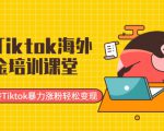 最新Tiktok海外掘金培训课堂:带你玩转Tiktok暴力涨粉轻松变现-阳知网创资源库