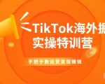 TikTok海外掘金实操特训营:手把手教运营变现赚钱-阳知网创资源库