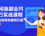 2021闲鱼副业月入过万实战课程:从开店到选择货源到引流,全程实战教学-阳知网创资源库