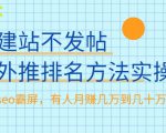 不建站不发帖做外推排名方法实操,持久seo霸屏,有人月赚几万到几十万-阳知网创资源库