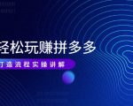 带你轻松玩赚拼多多:花的少 赚的多 爆款更简单 爆款打造流程实操讲解-阳知网创资源库