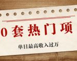 30套热门项目:单日最高收入过万 (网赚项目、朋友圈、涨粉套路、抖音、快手)等-阳知网创资源库