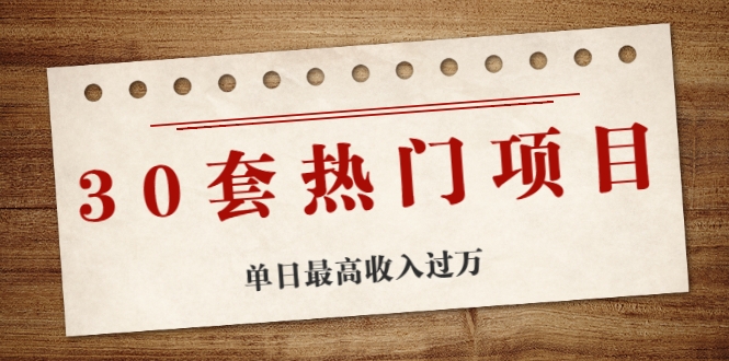 30套热门项目：单日最高收入过万 (网赚项目、朋友圈、涨粉套路、抖音、快手)等-阳知网创资源库