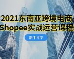2021东南亚跨境电商Shopee实战运营课程,0基础、0经验、0投资的副业项目-阳知网创资源库