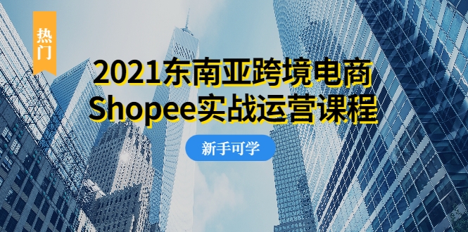 2021东南亚跨境电商Shopee实战运营课程,0基础、0经验、0投资的副业项目-阳知网创资源库