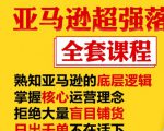 亚马逊超强落地实操全案课程:拒绝大量盲目铺货,日出千单不在话下-阳知网创资源库