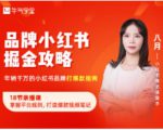 品牌小红书掘金攻略,年销千万的小红书品牌打爆款指南-阳知网创资源库