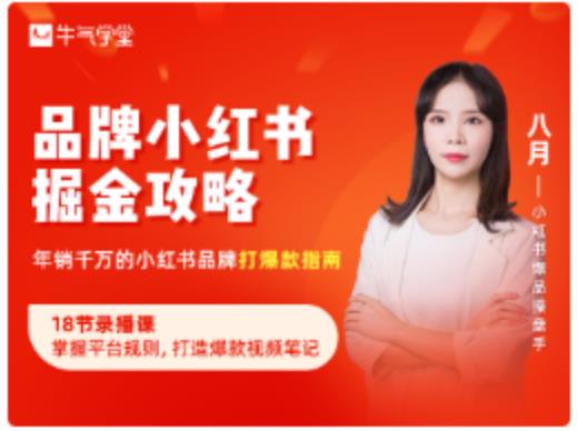 品牌小红书掘金攻略,年销千万的小红书品牌打爆款指南-阳知网创资源库