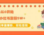 生财小红书涨粉变现：新账号从0开始3个月小红书涨粉5W+实现单篇爆粉-阳知网创资源库