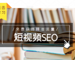 未来新趋势,布局短视频SEO,如何利用抖音SEO免费获得精准流量(3节课)-阳知网创资源库