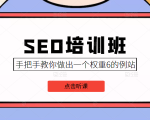 SEO培训班课程,手把手教你做出一个权重6的例站,价值8000元-阳知网创资源库