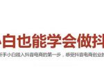 2021最新抖音小店无货源课程,小白也能学会做抖店,轻松月入过万-阳知网创资源库