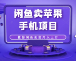 闲鱼卖苹果手机项目,教你闲鱼卖货月入上万-阳知网创资源库