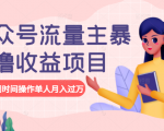 公众号流量主暴利撸收益项目,空闲时间操作单人月入过万-阳知网创资源库