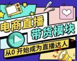 大鹏·电商直播带货课，系统学习直播带货各环节技巧和套路-阳知网创资源库