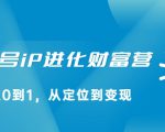 视频号iP进化财富营，从0到1，从定位到变现赚钱（价值1577元）-阳知网创资源库