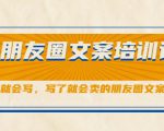 朋友圈文案培训课,听了就会写,写了就会卖的朋友圈文案课-阳知网创资源库