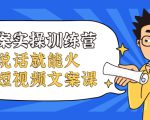 文案实操训练营，只说话就能火的短视频文案课-阳知网创资源库