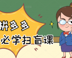 拼多多商家开店入门必学,0基础新手小白扫盲课(58节视频课程)-阳知网创资源库