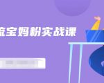 百度贴吧引流宝妈粉实战课,小白也可以日引100+精准粉-阳知网创资源库