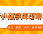 抖音小程序变现集训课，养号、起号、书单、趣味测试、视频剪辑，全套流程-阳知网创资源库