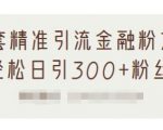1套精准引流金融粉方法,轻松日引300+粉丝-阳知网创资源库