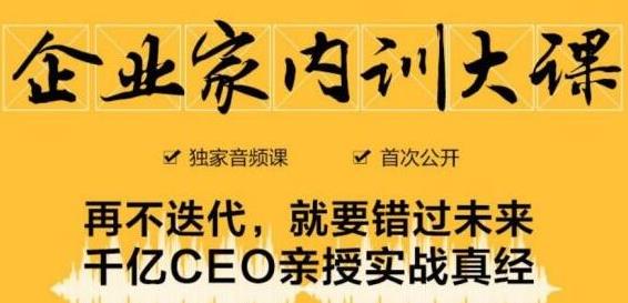 企业家内训大课,未来企业必学经验,价值1299元-阳知网创资源库
