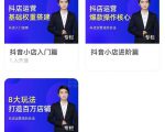湛北·抖音小店入门进阶高阶合集,八大玩法打造百万店铺-阳知网创资源库