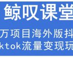 鲸叹号·海外TIKTOK训练营,百万项目海外版抖音tiktok流量变现玩法-阳知网创资源库