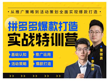 玺承云·拼多多爆款打造实战特训营,一套从入门到高手课程,让你快速拿捏拼多多-阳知网创资源库