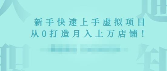 2022年虚拟项目实战指南,新手从0打造月入上万店铺-阳知网创资源库