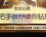 智能钻展手把手教你操作钻展,全方面了解和运用,让钻展更加简单-阳知网创资源库
