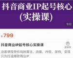 抖音商业IP起号核心实操课,带你玩转算法,流量,内容,架构,变现-阳知网创资源库