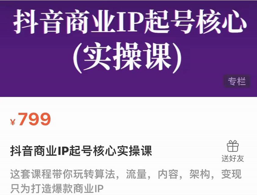 抖音商业IP起号核心实操课,带你玩转算法,流量,内容,架构,变现-阳知网创资源库