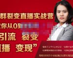 蚂蚁社群电商·社群裂变直播实战营,教你从0到1实现引流、裂变、直播、变现-阳知网创资源库