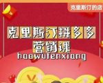 克里斯汀拼多多运营课，适合小白初涉平台，低成本入门-阳知网创资源库