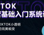 Tiktok实操进阶课程,体验从tiktok小透明到大佬的完美蜕变-阳知网创资源库