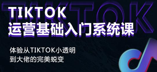 Tiktok实操进阶课程,体验从tiktok小透明到大佬的完美蜕变-阳知网创资源库