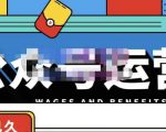 零零已久·从0-1运营公众号,零基础小白也能上手,系统性了解公众号运营-阳知网创资源库