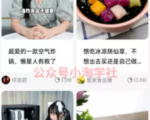 京东视频带货项目分享,发视频就能操作赚钱-阳知网创资源库