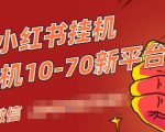 视频号小红书抖音挂机项目,小白无脑操作,按照要求来,单号每天几十米-阳知网创资源库