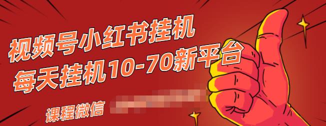 视频号小红书抖音挂机项目,小白无脑操作,按照要求来,单号每天几十米-阳知网创资源库