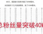 倪叶明·蓝海公众号矩阵项目训练营，0粉冷启动，公众号矩阵账号粉丝突破30w-阳知网创资源库