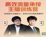 高效流量承接主播训练营:快速提升主播能力,实现100万销售直播间-阳知网创资源库