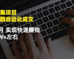 虚拟图集项目:矩阵站群自动化成交,3-5个月实现快速赚钱月入1W+左右-阳知网创资源库