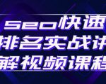 seo快速排名实战讲解视频课程,揭秘seo快排原理-阳知网创资源库