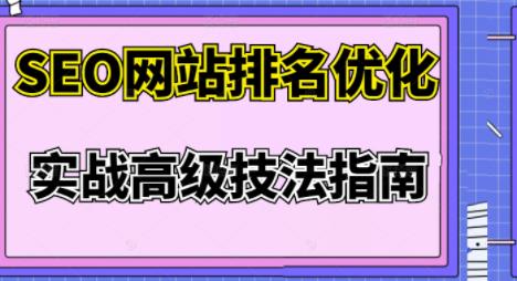 樊天华·SEO网站排名优化实战高级技法指南,让客户找到你-阳知网创资源库